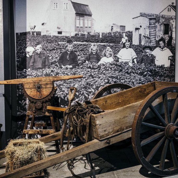 20x30cmbyggdarsafnid_w8a3507